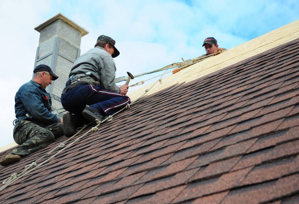 Best Residential Roofing Contractor  in St Matthews, SC